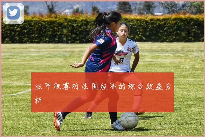 法甲联赛对法国经济的综合效益分析