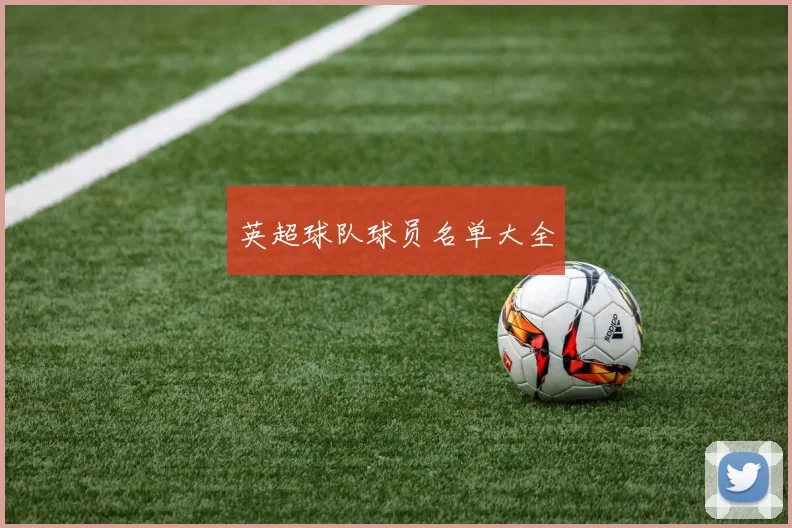 英超球队球员名单大全