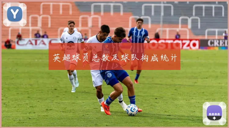 英超球员总数及球队构成统计