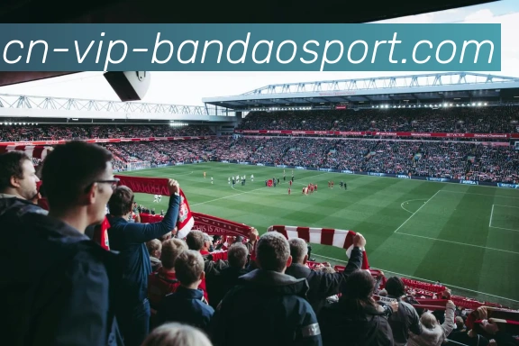 半岛体育品牌故事