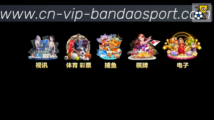 未来规划